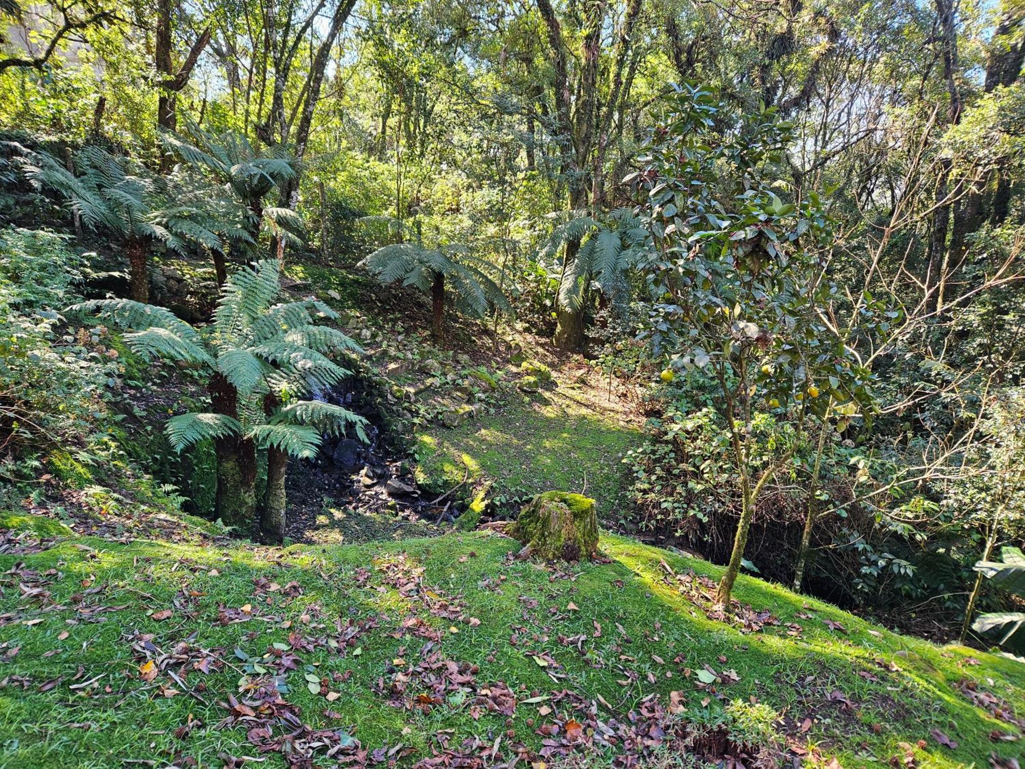 Cantinho Das Oliveiras. Gramado Esterno foto